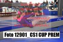 12901_CS1-CUP-PREM