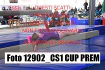 12902_CS1-CUP-PREM