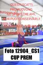 12904_CS1-CUP-PREM
