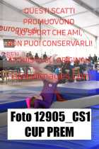 12905_CS1-CUP-PREM