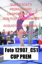 12907_CS1-CUP-PREM