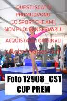 12908_CS1-CUP-PREM