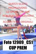 12909_CS1-CUP-PREM
