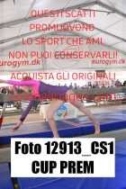 12913_CS1-CUP-PREM