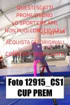 12915_CS1-CUP-PREM