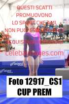 12917_CS1-CUP-PREM