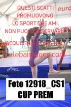 12918_CS1-CUP-PREM