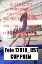 12919_CS1-CUP-PREM