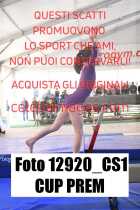12920_CS1-CUP-PREM