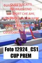 12924_CS1-CUP-PREM