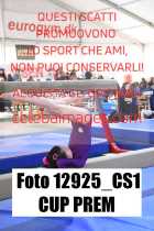 12925_CS1-CUP-PREM