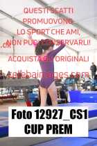 12927_CS1-CUP-PREM