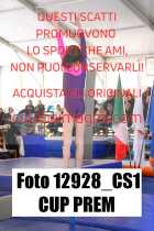 12928_CS1-CUP-PREM