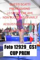 12929_CS1-CUP-PREM