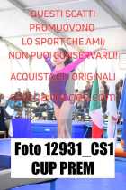 12931_CS1-CUP-PREM