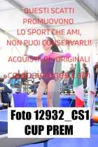 12932_CS1-CUP-PREM