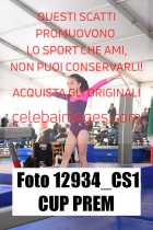 12934_CS1-CUP-PREM