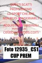 12935_CS1-CUP-PREM