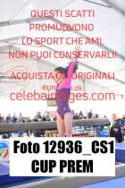 12936_CS1-CUP-PREM