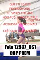 12937_CS1-CUP-PREM