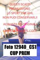 12940_CS1-CUP-PREM