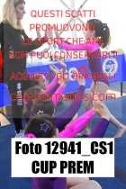 12941_CS1-CUP-PREM