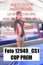 12949_CS1-CUP-PREM