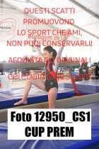12950_CS1-CUP-PREM