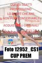12952_CS1-CUP-PREM