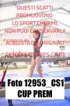 12953_CS1-CUP-PREM