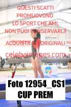 12954_CS1-CUP-PREM