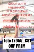 12955_CS1-CUP-PREM