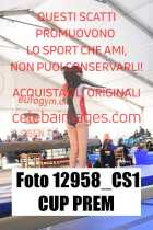 12958_CS1-CUP-PREM