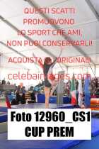 12960_CS1-CUP-PREM