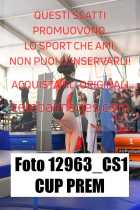 12963_CS1-CUP-PREM