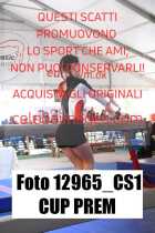 12965_CS1-CUP-PREM