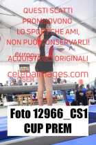 12966_CS1-CUP-PREM