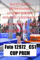 12972_CS1-CUP-PREM