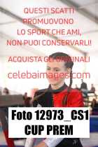 12973_CS1-CUP-PREM