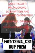 12974_CS1-CUP-PREM