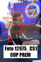 12975_CS1-CUP-PREM