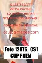 12976_CS1-CUP-PREM