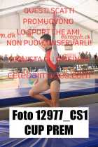 12977_CS1-CUP-PREM