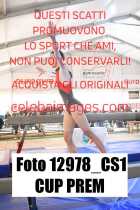 12978_CS1-CUP-PREM