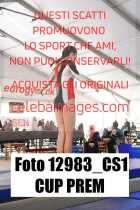 12983_CS1-CUP-PREM