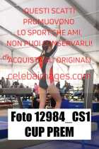 12984_CS1-CUP-PREM