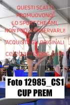 12985_CS1-CUP-PREM