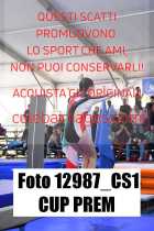 12987_CS1-CUP-PREM