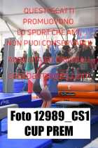 12989_CS1-CUP-PREM