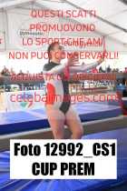 12992_CS1-CUP-PREM